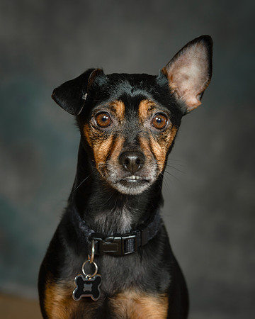 Kirkland Photographer
