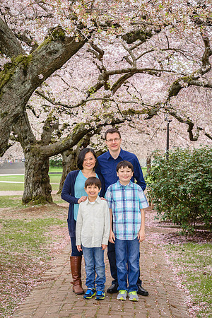 Kirkland Photographer
