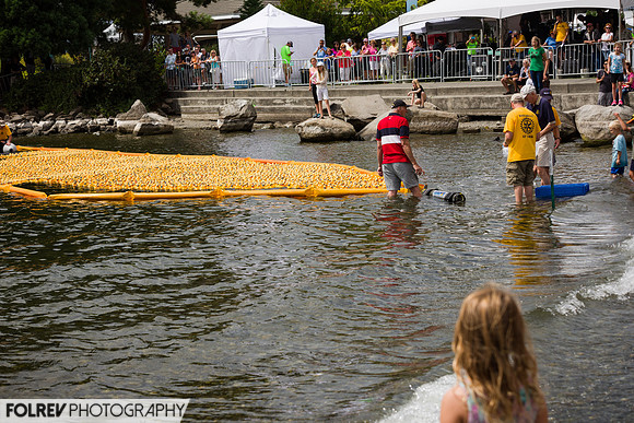 Summerfest  (7679)