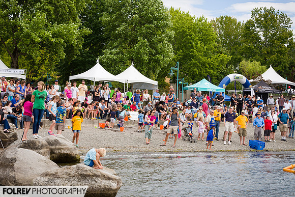 Summerfest  (7657)