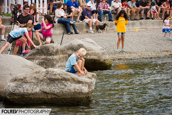 Summerfest  (7655)