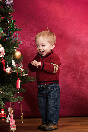 Kirkland Photographer