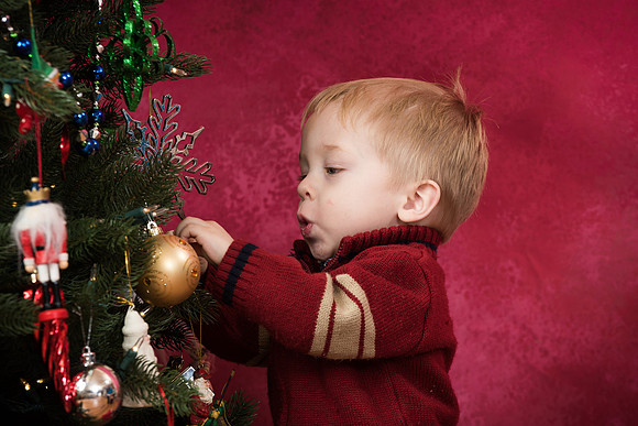 Kirkland Photographer