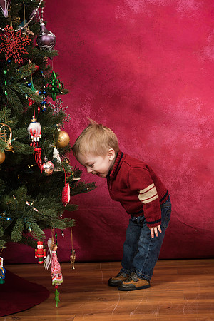 Kirkland Photographer