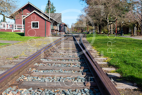 Issaquah - 2021 - 04