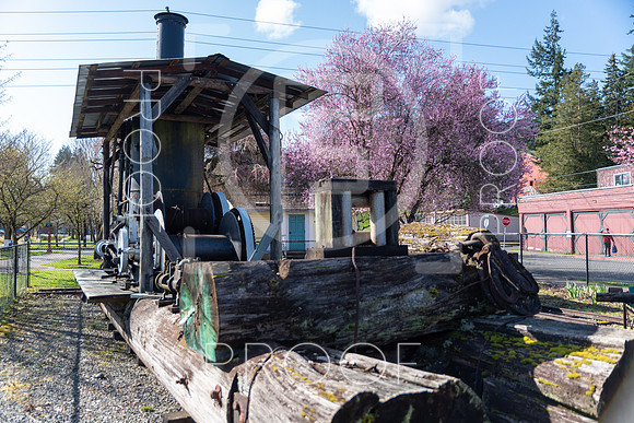 Issaquah - 2021 - 10