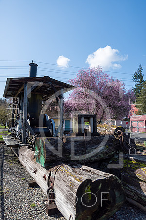 Issaquah - 2021 - 11