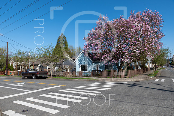 Issaquah - 2021 - 18