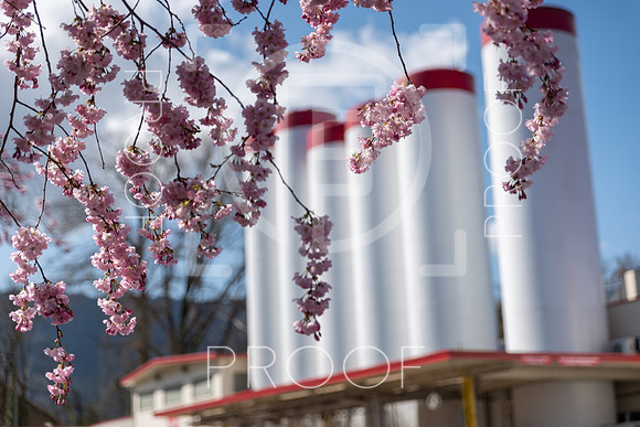 Issaquah - 2021 - 38