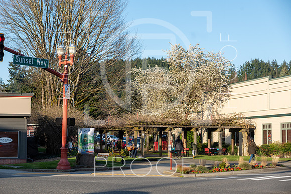 Issaquah - 2021 - 53