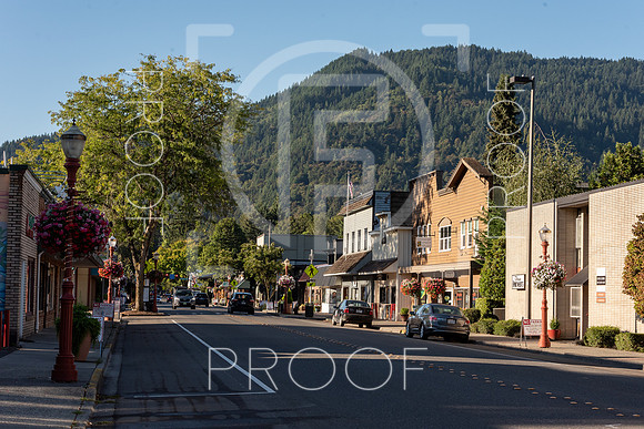 Issaquah,WA - Stock-1748