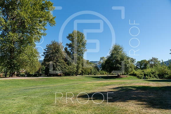 Issaquah,WA - Stock-1756