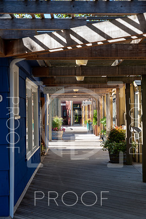 Issaquah,WA - Stock-1760