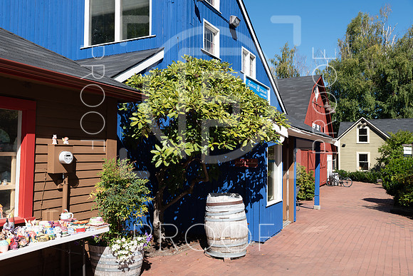 Issaquah,WA - Stock-1772
