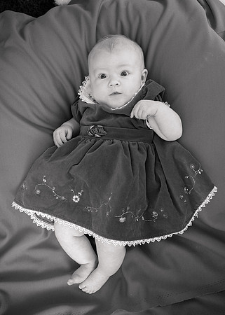 Bellevue-Eastside Portrait photography - 1292