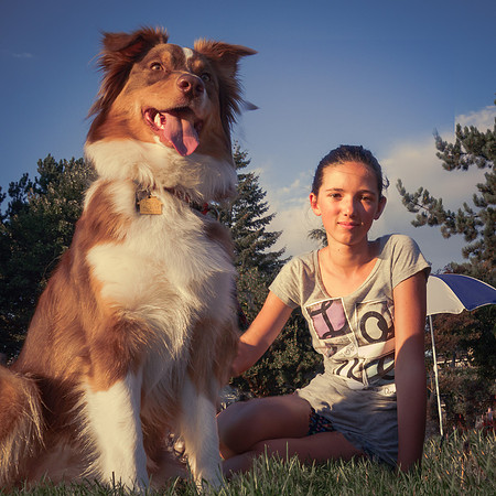 Pet - Dog portrait